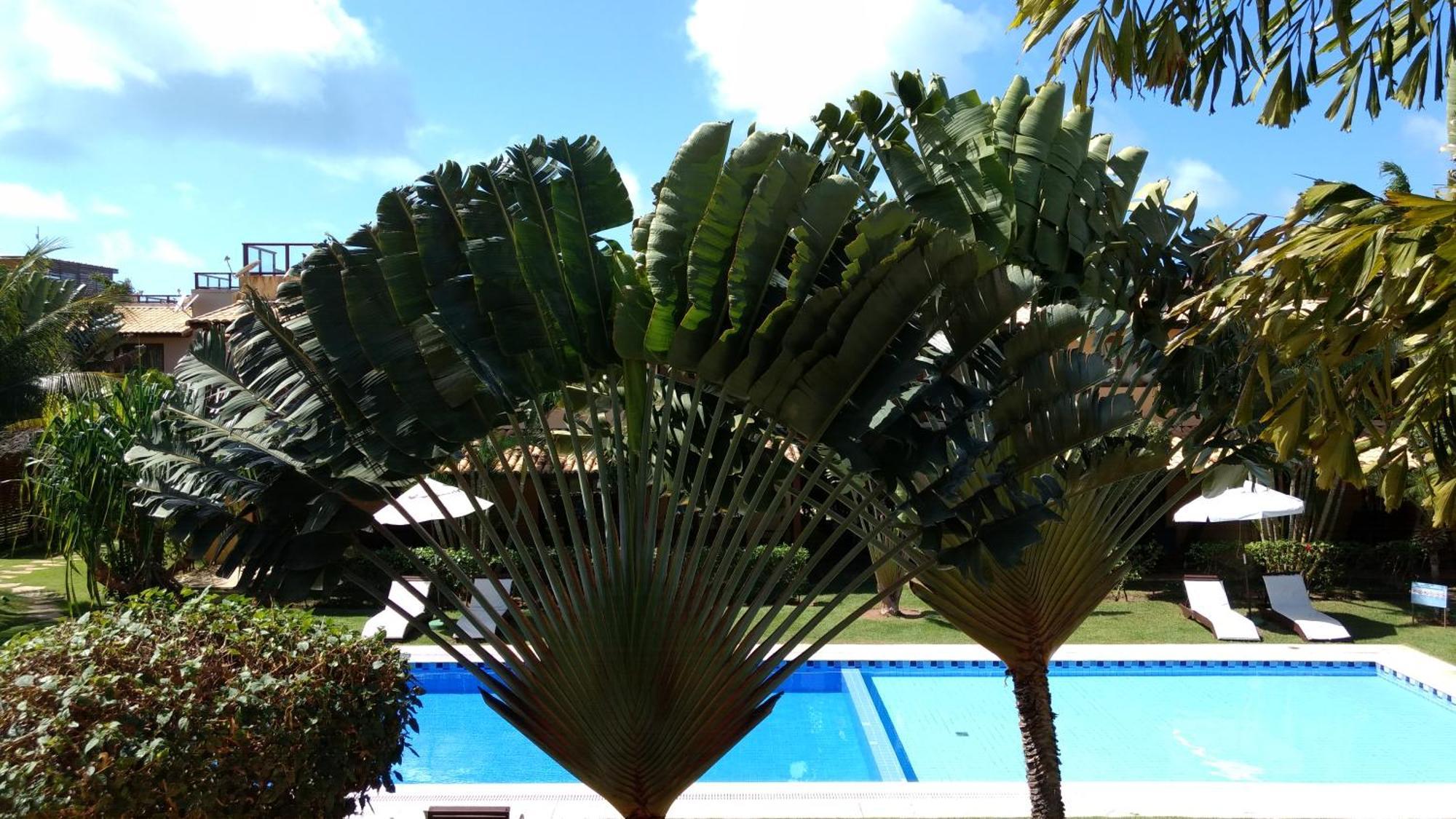 Unidades Vilas Triplex No Pipa Beleza Praia de Pipa Extérieur photo